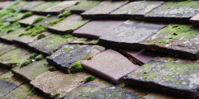Witham roof repair costs